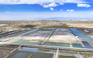 君望科技 兴庆区让“闲置”资源用起来动起来 平罗县“农创客”把玉米芯变成“金疙瘩”