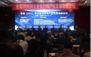 涛峰科技，涛峰科技有限公司