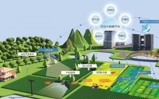 综合科技服务 肥城五埠“智慧乡村”平台上线，山东建行科技金融助力乡村振兴