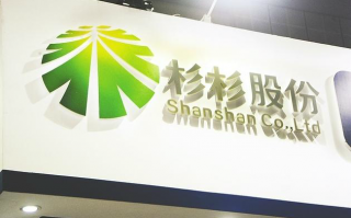 银杉科技 银杉股份（873469）：拟设立控股子公司上海银象新材料科技有限公司
